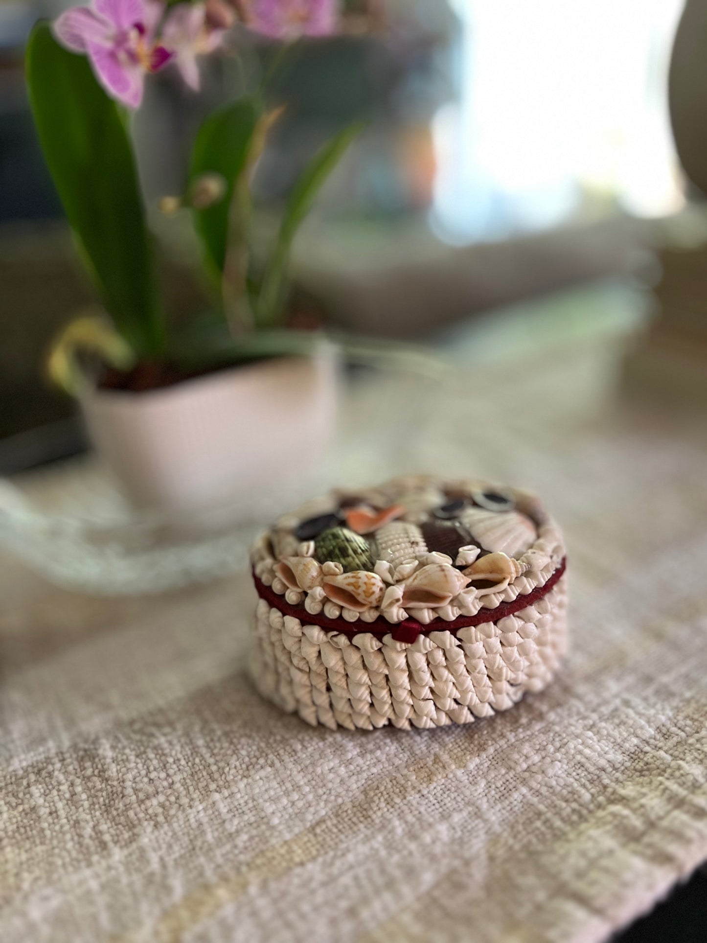 Vintage Seashell Box - Oval